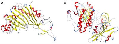 Heteroleptic Metal Complexes of a Pyrimidinyl Based Schiff Base Ligand Incorporating 2,2′-Bipyridine Moiety: Synthesis, Characterization, and Biological Studies